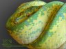 g03.jpg - 